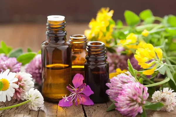 Depositphotos 49540571 stock photo essential oils and medical flowers