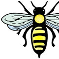 Abeille